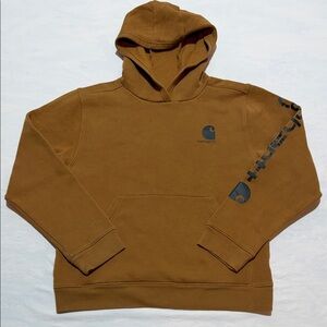 Carhartt Men's Brown Hooded Sweatshirt